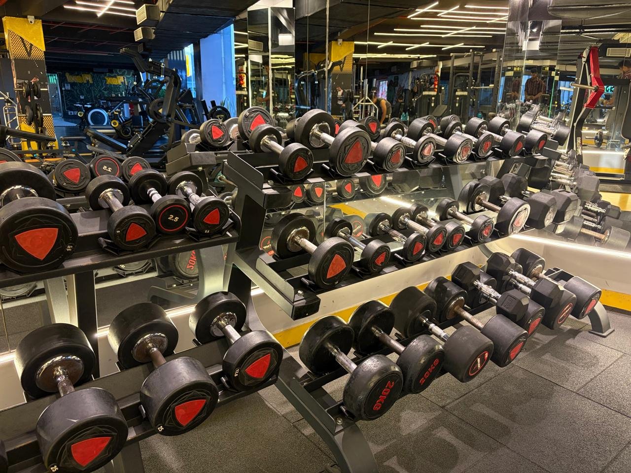 Strength and free-weight zone with racks and benches